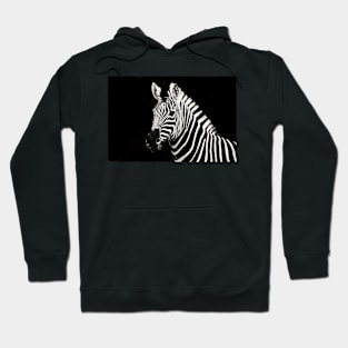 Zebra : Monochromatic | Black and White Series Hoodie